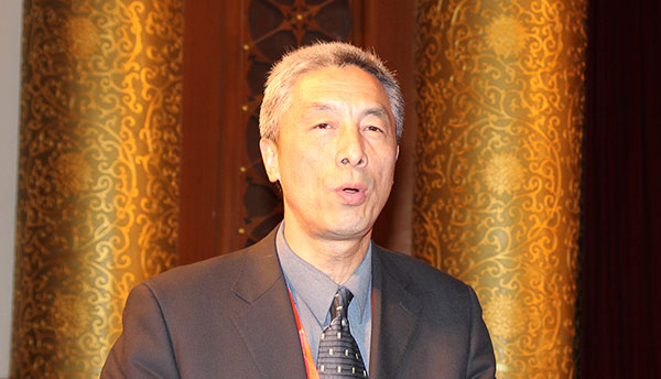 2013-2014年度国家优质工程金质奖皖电东送淮南至上海特高压交流输电示范工程的代表国家电网公司副总工程师李文毅发言