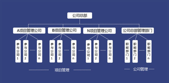 项目管理和公司管理